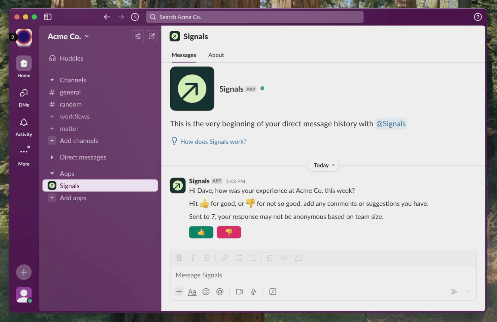How Signals works in the Slack App